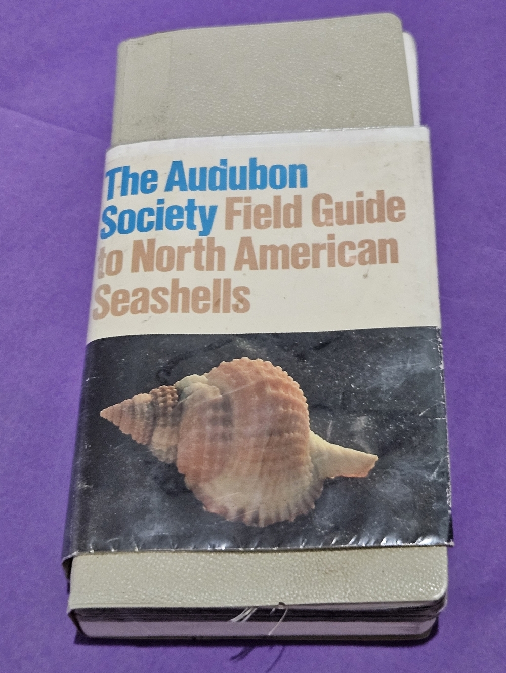 The Audubon Society Field Guide to North American Seashells